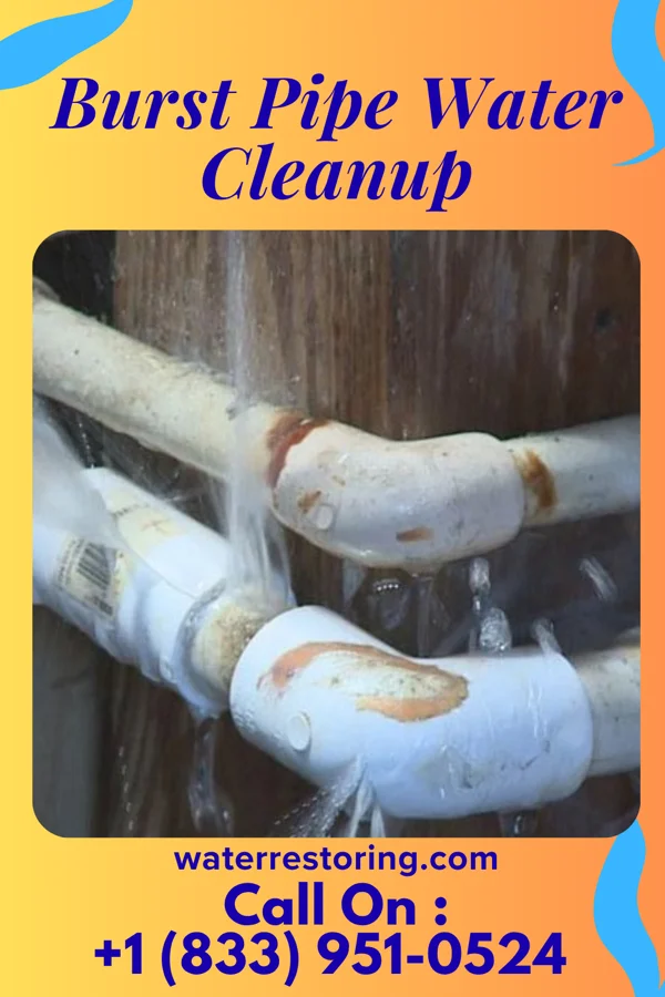 Burst Pipe Water Cleanup in Wright, MN