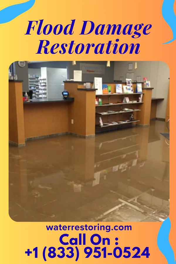 Flood Damage Restoration in Wright, MN