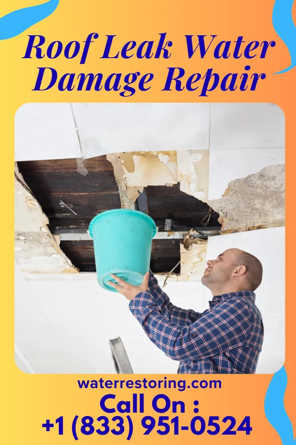 Roof Leak Water Damage Repair in Wright, MN