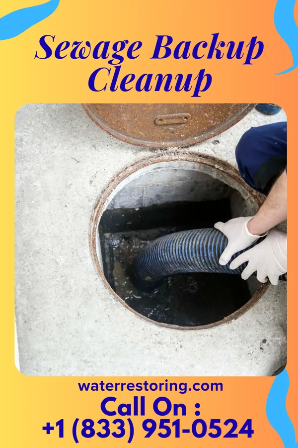 Sewage Backup Cleanup in Wright, MN