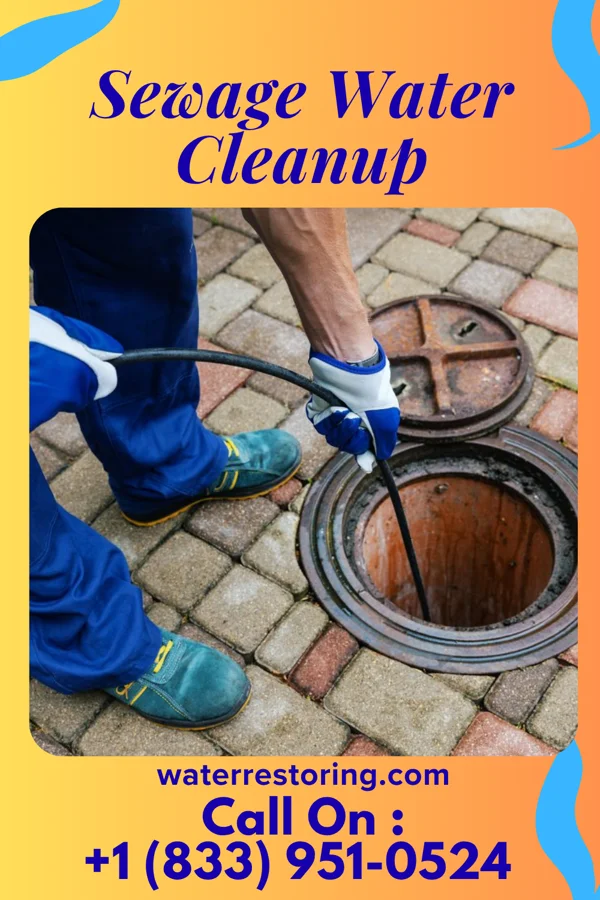 Sewage Water Cleanup in Wright, MN