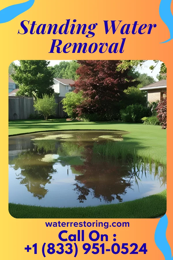 Standing Water Removal in Wright, MN